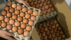 An employee packs a box with trays of fresh eggs inside an egg farm in the West Flanders region of Belgium, on Thursday, Aug. 10, 2017. 
