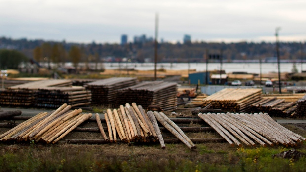 Logs sit piled up in this photo taken with a tilt-shift lens at a Stella Jones timber yard in Vancou