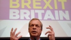 Nigel Farage, UK Independence Party leader