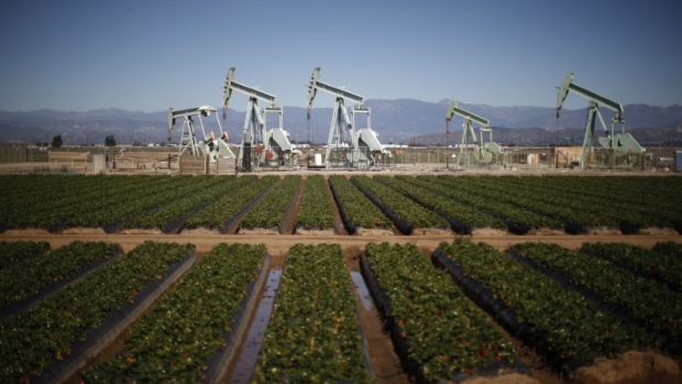 Oil pump jacks are seen next to a strawberry field in Oxnard, California February 24, 2015. 