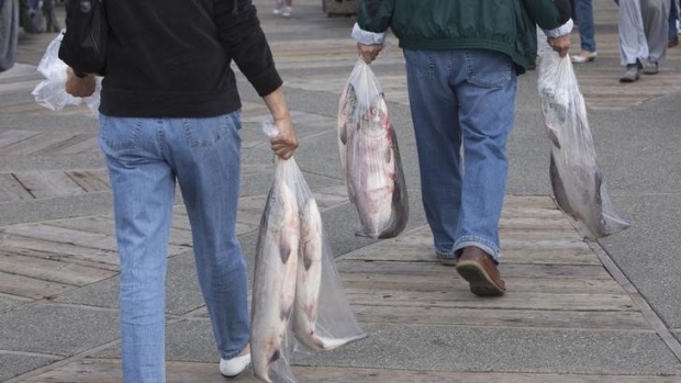 People carry salmon after purchasing it from fishers on the docks in Steveston, B.C. 