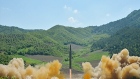 This shows what was said to be the launch of a Hwasong-14 intercontinental ballistic missile