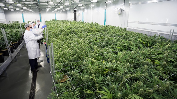 ABcann's state of the art purpose built production facility.