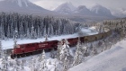 A Canadian Pacific freight train travels around Morant's Curve near Baker Creek, Alta. on Monday Dec
