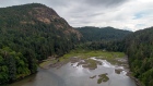 The mouth of the Goldstream River during a drought near Langford, British Columbia, Canada, in July 2023.