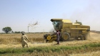 <p>A combine harvester cuts wheat on a farm in Chiniot, Pakistan.</p>