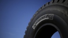 A newly manufactured Michelin & Cie. earthmover tire.