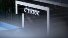 <p>The bill gives the company nearly a year for ByteDance to divest from TikTok before the app would face a ban.</p>