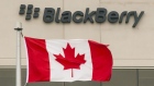 BlackBerry's offices in Waterloo, Ontario