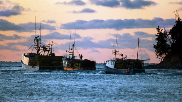 Fishing boats loaded with lobster traps head from Eastern Passage, N.S.