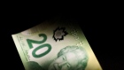 Canadian dollar $20 bill
