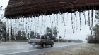 Winter storm, Florida